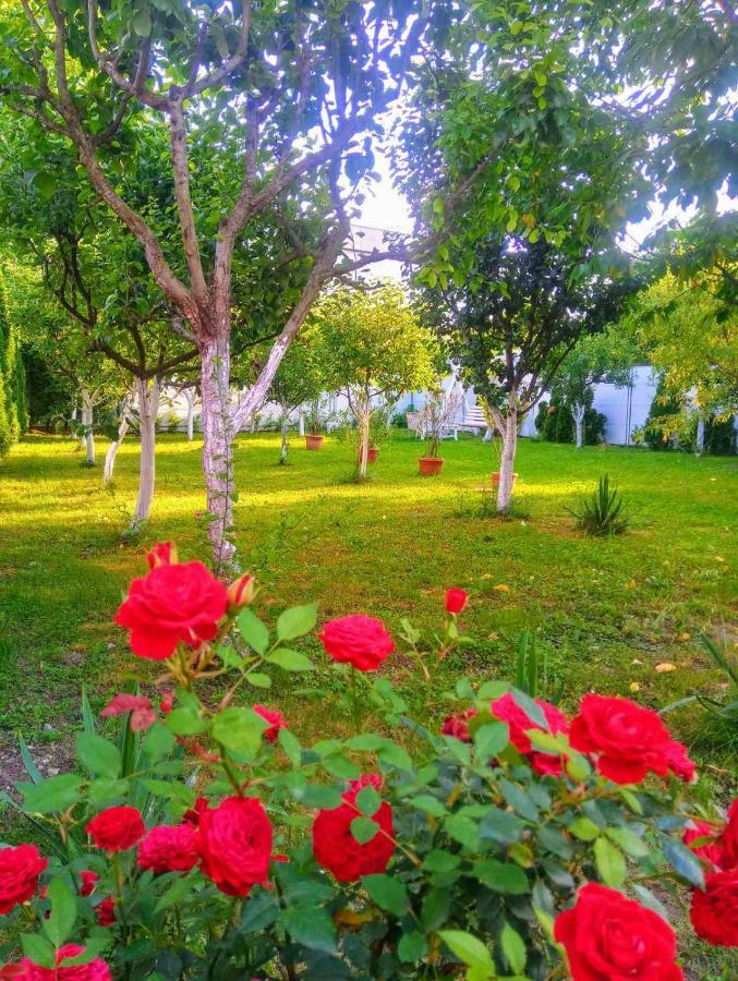 Apartmani Jasmina 2 Bihać Buitenkant foto